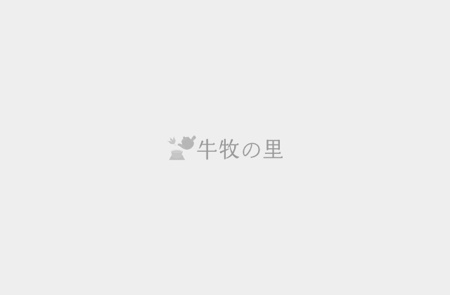 ダイエット・血糖値ケアなら食前に！桑茶を取り入れるメリット